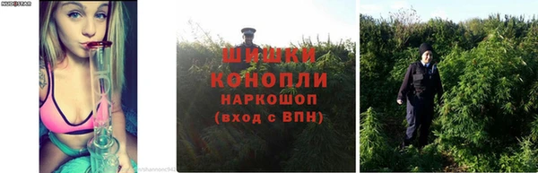 spice Абинск
