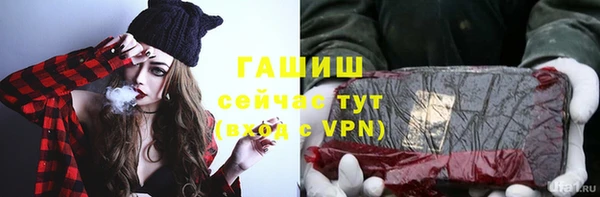 сатива Няндома