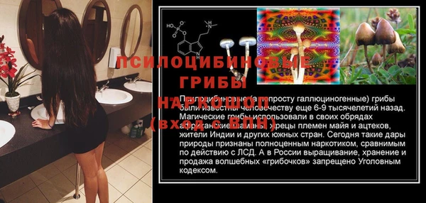 MESCALINE Абаза